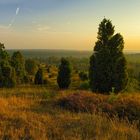 Lüneburger Heide - Die Heidmark