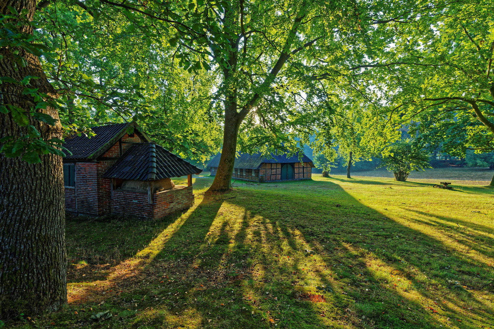 Lüneburger Heide - Die Heidmark