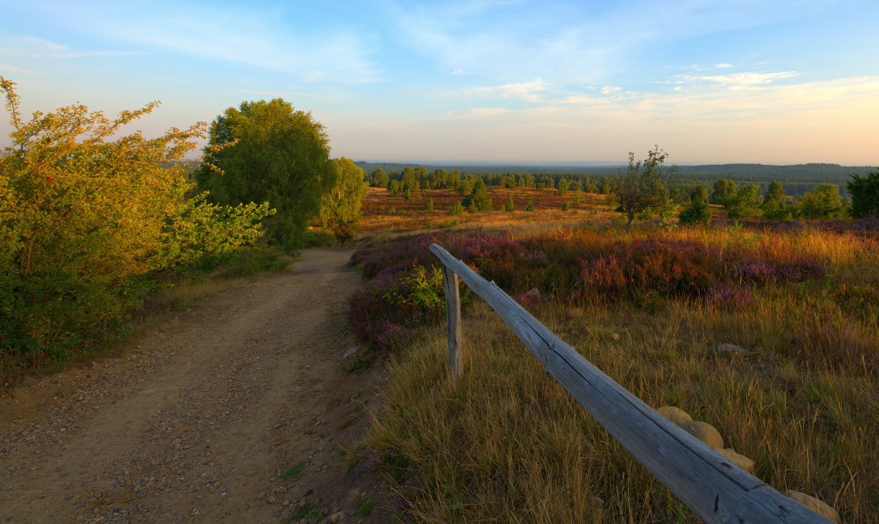 Lüneburger Heide - Die Heidmark