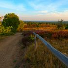 Lüneburger Heide - Die Heidmark