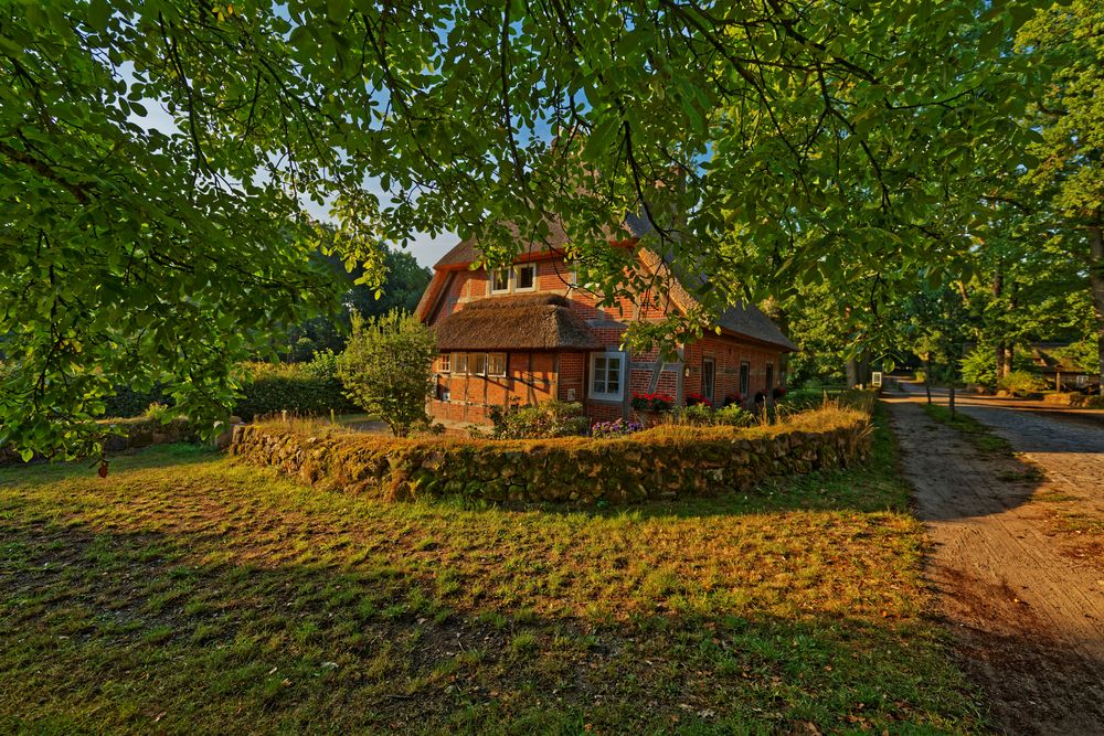 Lüneburger Heide Die Heidmark Foto & Bild deutschland, europe