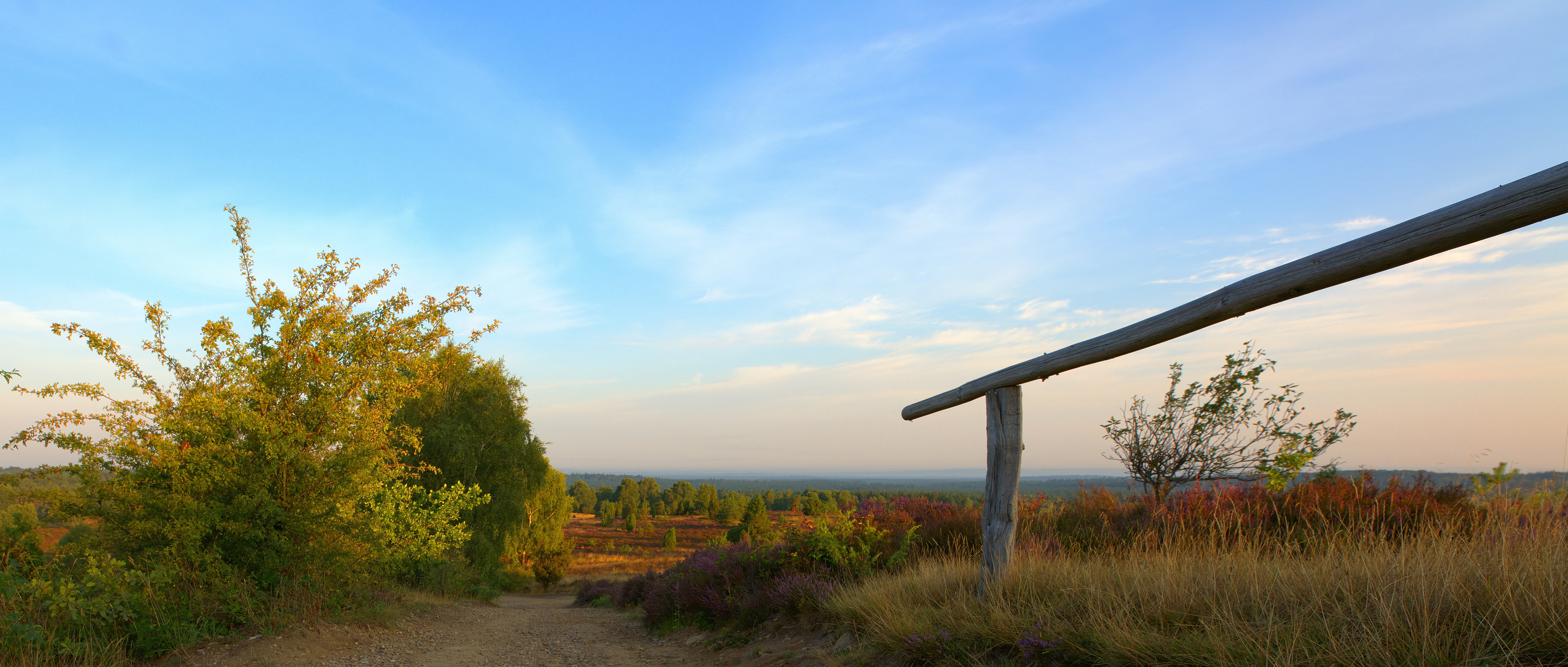 Lüneburger Heide - Die Heidmark