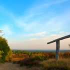 Lüneburger Heide - Die Heidmark