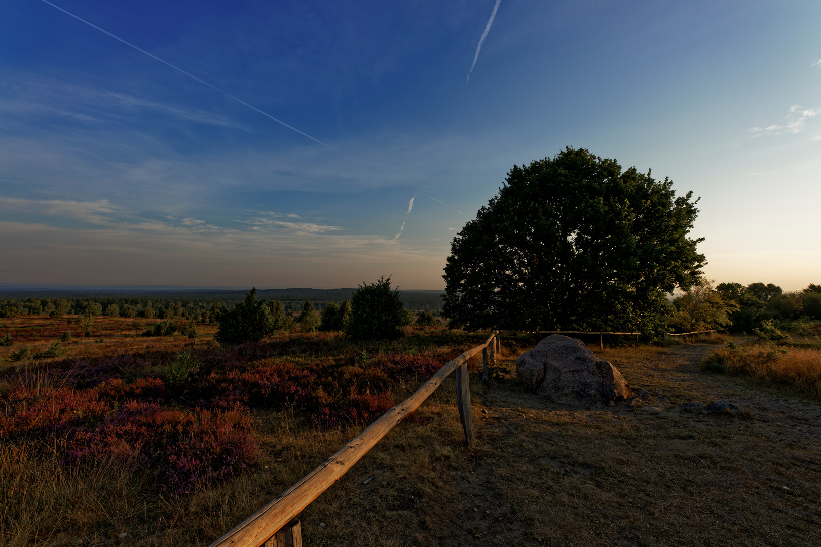 Lüneburger Heide - Die Heidmark