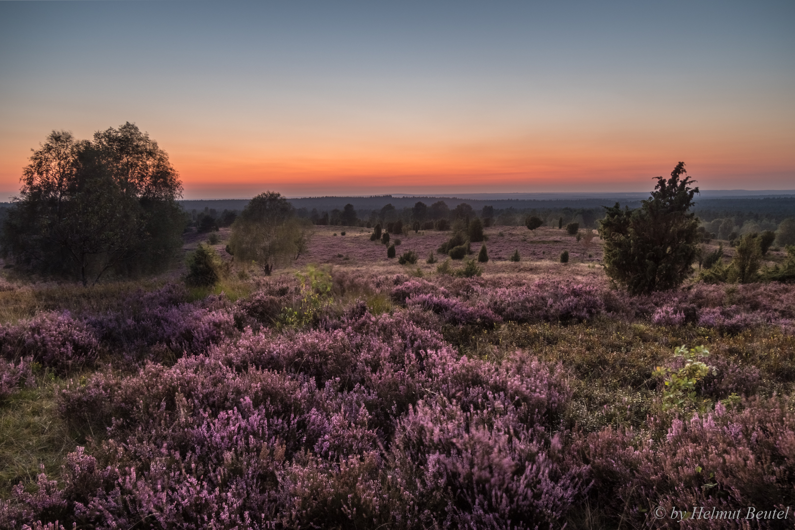 Lüneburger Heide - die Sonne geht schlafen