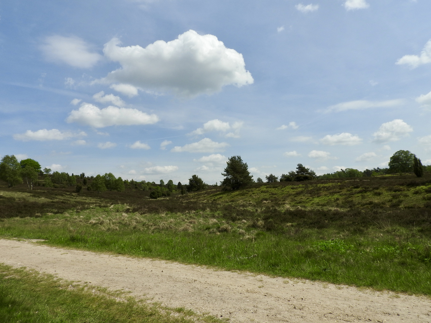 Lüneburger Heide