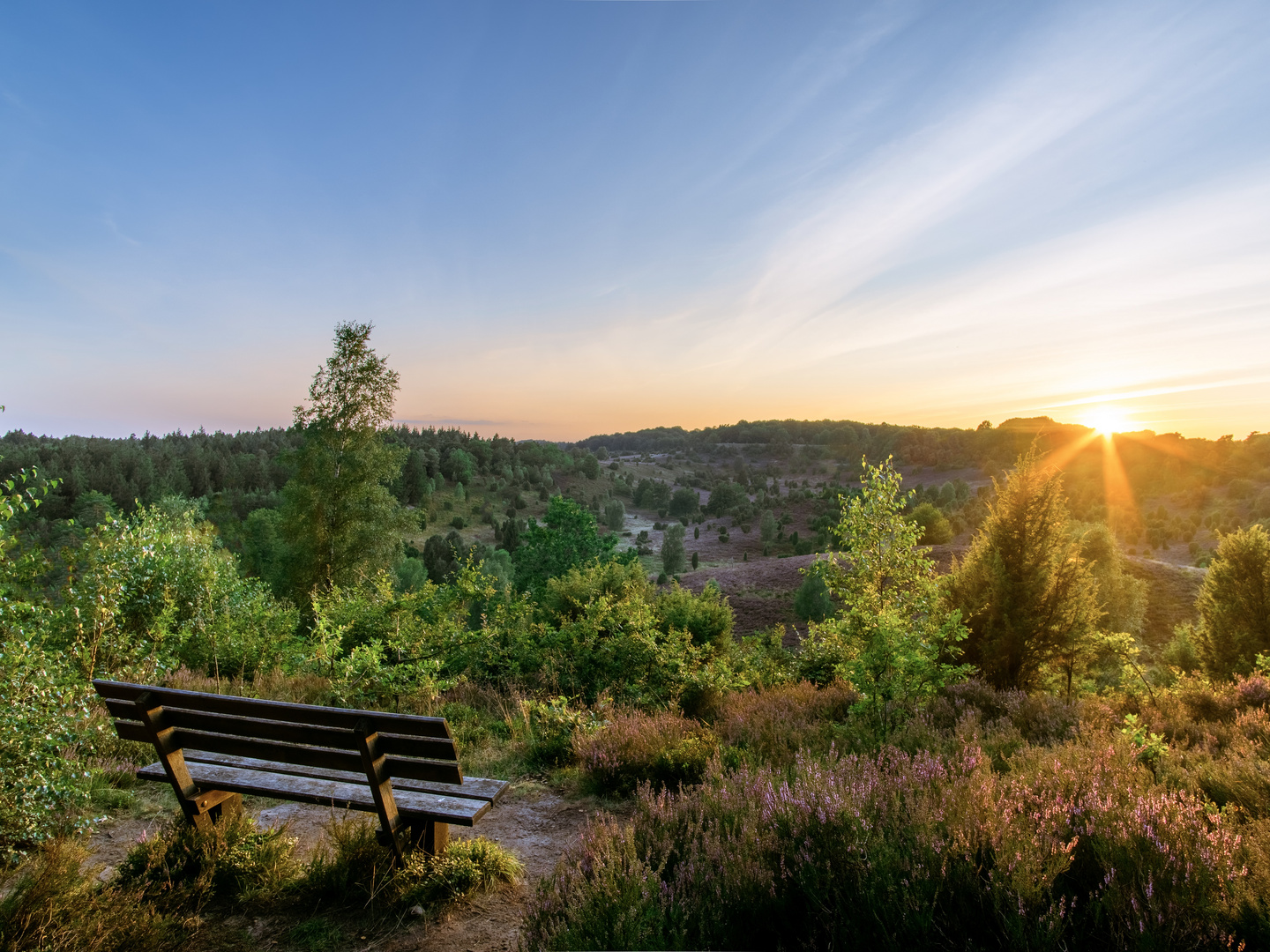 Lüneburger Heide