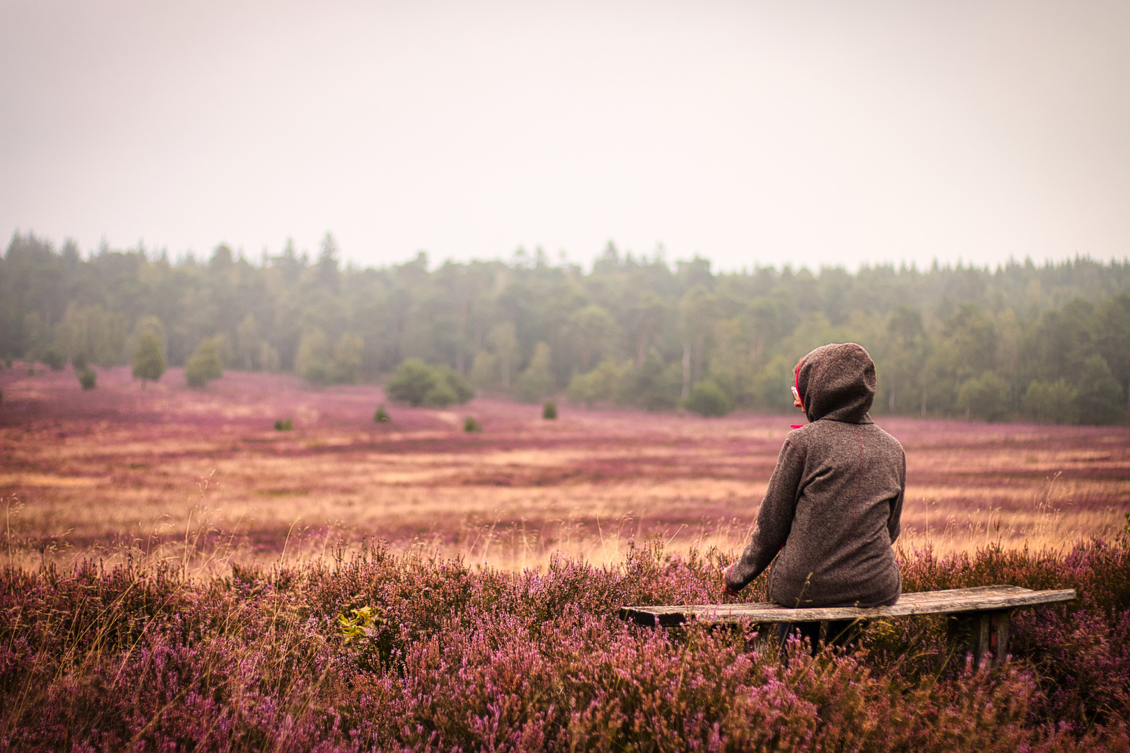 Lüneburger Heide