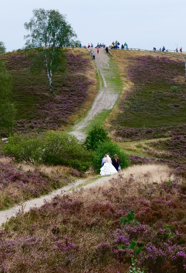 Lüneburger Heide