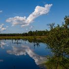 Lüneburger Heide