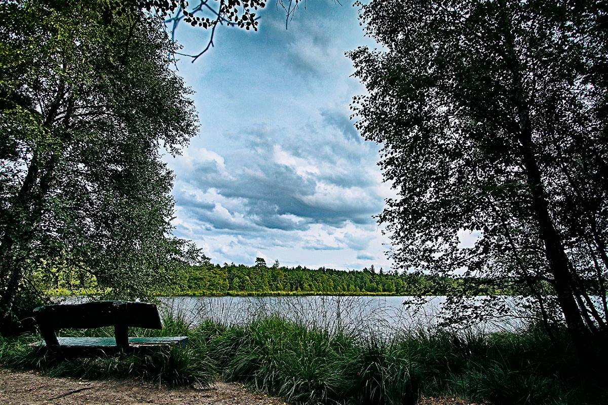 Lüneburger Heide