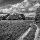 Lüneburger Heide geht auch in s/w