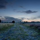 Lüneburger Heide I