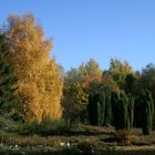 Lüneburger Heide in Kiel