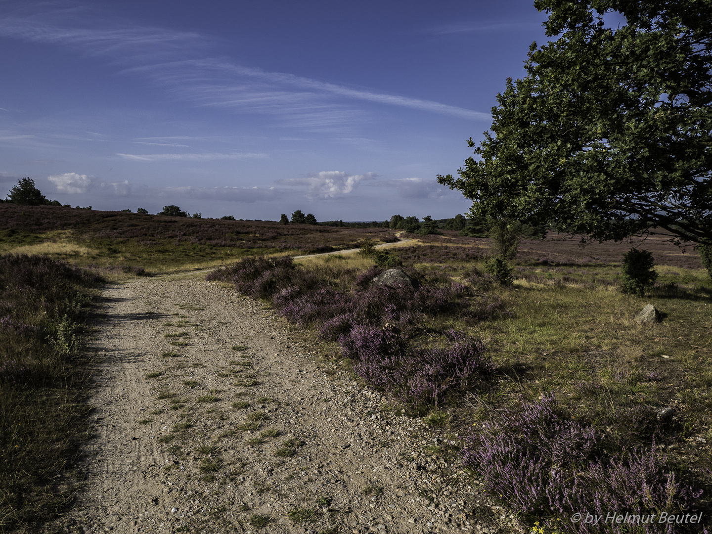 Lüneburger Heide - in Schlangenlinie durch die Heide