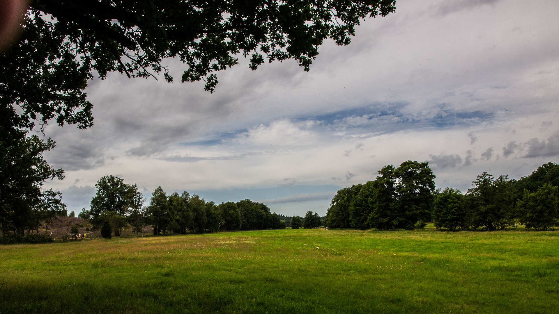 Lüneburger Heide mal anders