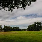 Lüneburger Heide mal anders