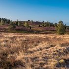 Lüneburger Heide - mit Bank