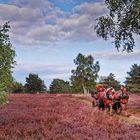 Lüneburger Heide mit Pferdefuhrwerk