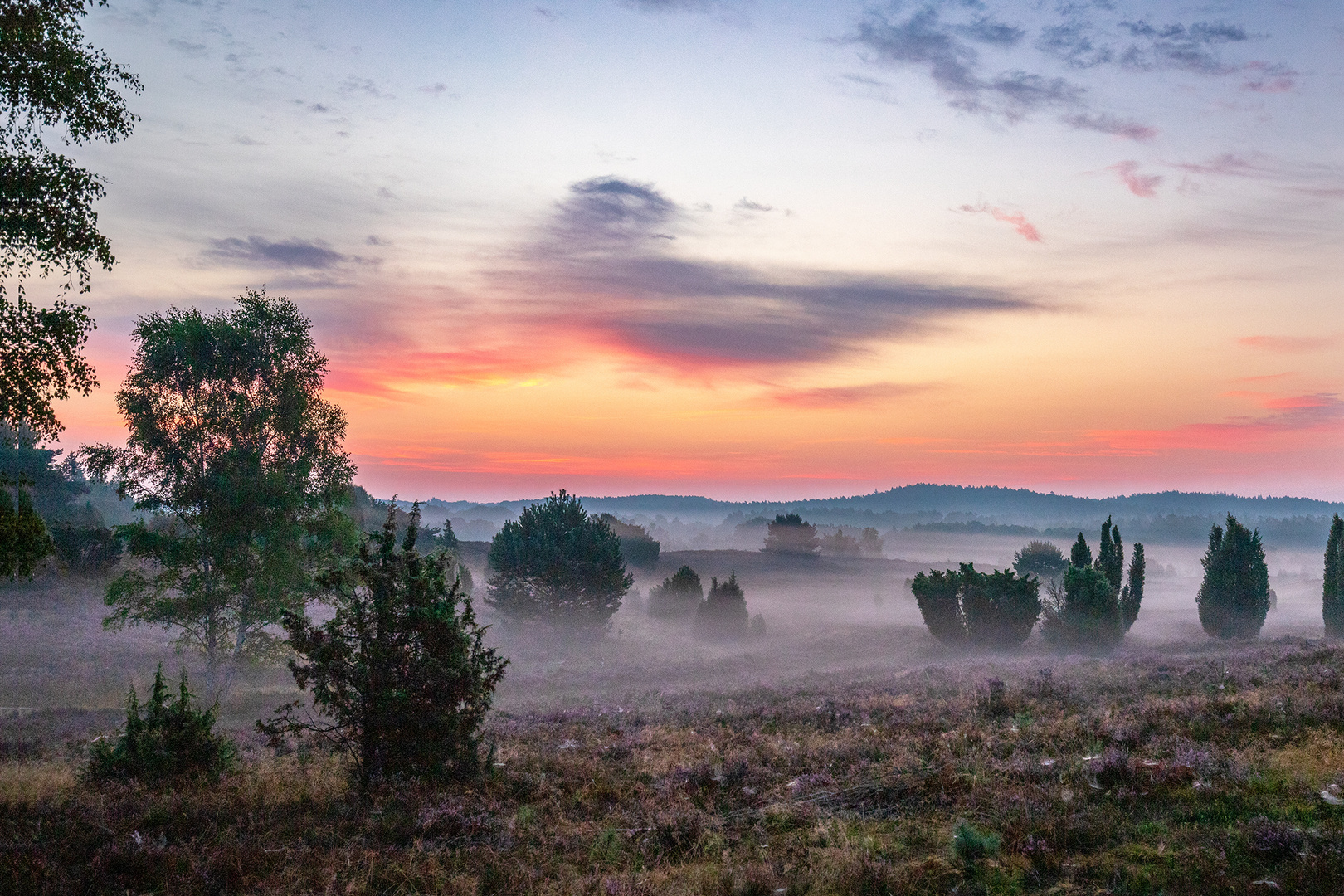 Lüneburger Heide Nebelstimmung