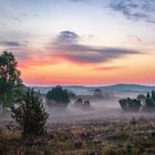 Lüneburger Heide Nebelstimmung