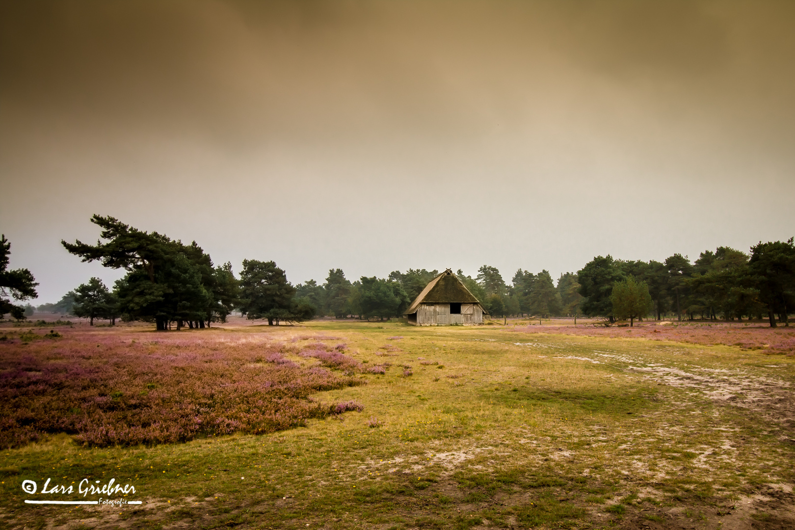 Lüneburger Heide - Schneverdingen