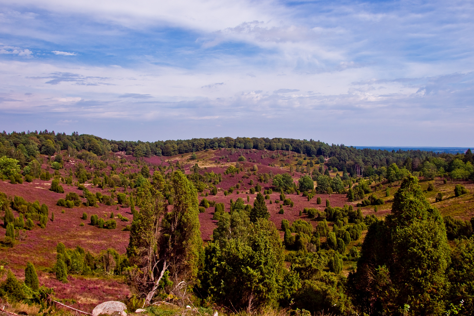 Lüneburger Heide - Totengrund