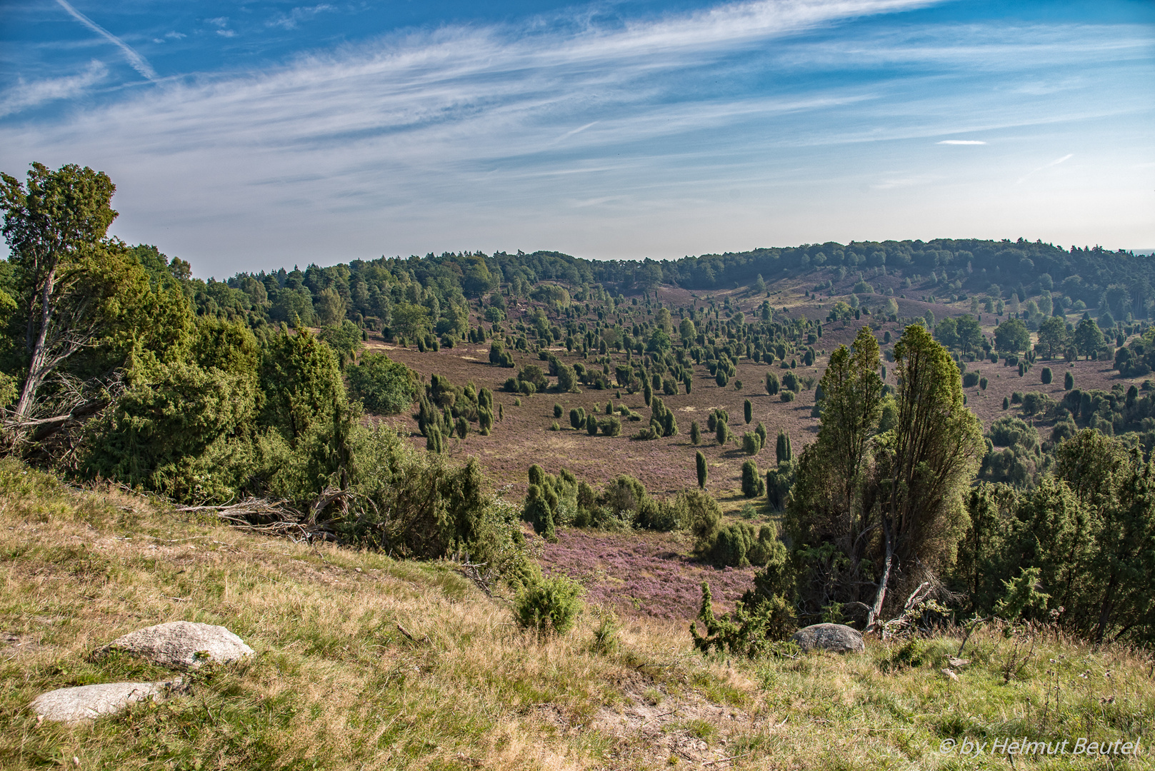 Lüneburger Heide - Totengrund