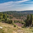 Lüneburger Heide - Totengrund