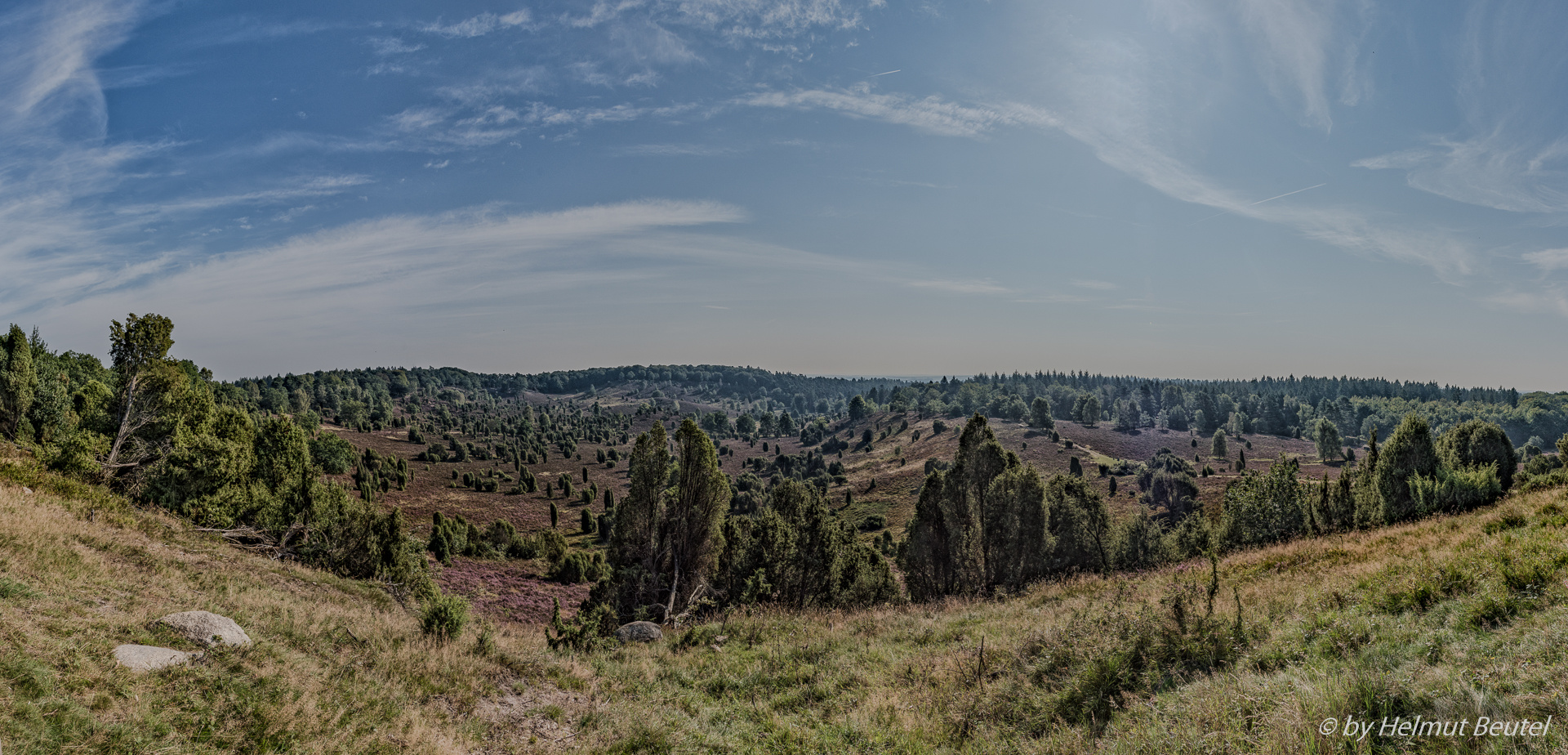 Lüneburger Heide - Totengrund Panorama