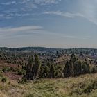 Lüneburger Heide - Totengrund Panorama