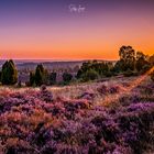 Lüneburger Heide -Touched by the first sunrays