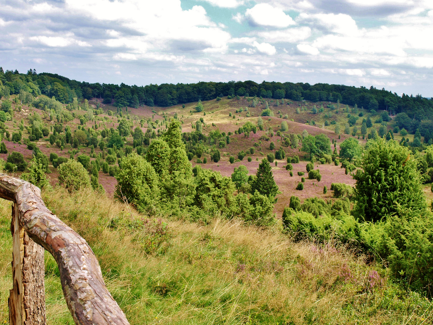 Lüneburger Heide, über dem  Totengrund bei Wilsede