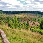 Lüneburger Heide, über dem  Totengrund bei Wilsede