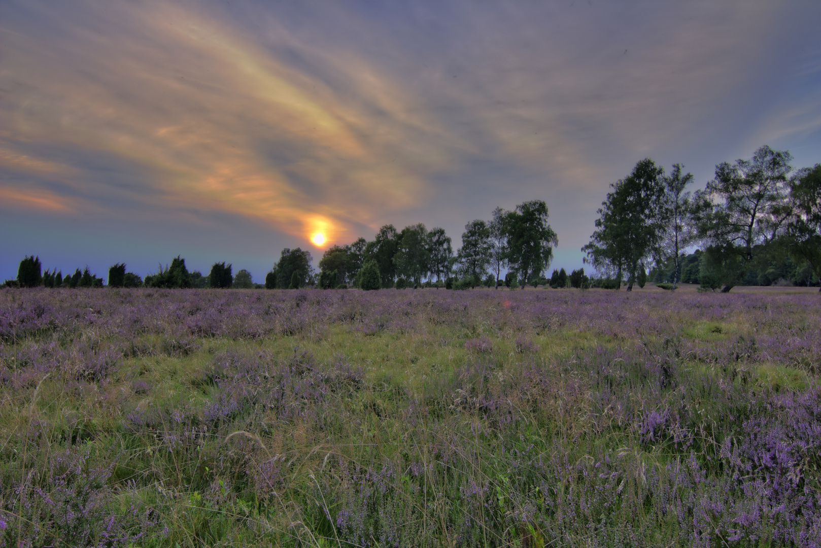 Lüneburger Heide - Wilsede