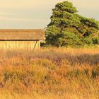 Lüneburger Heide:Bienenhaus