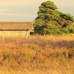 Lüneburger Heide:Bienenhaus