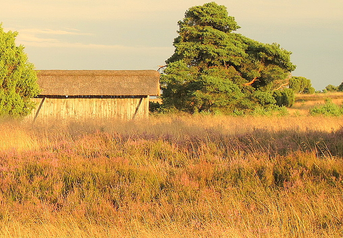 Lüneburger Heide:Bienenhaus