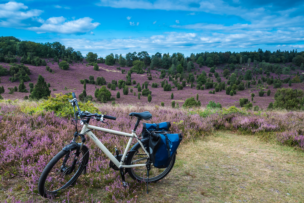 Lüneburger Heide_Totengrund