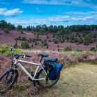 Lüneburger Heide_Totengrund