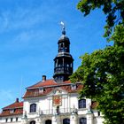 Lüneburger Rathaus mit Baum // Lüneburg city hall with tree