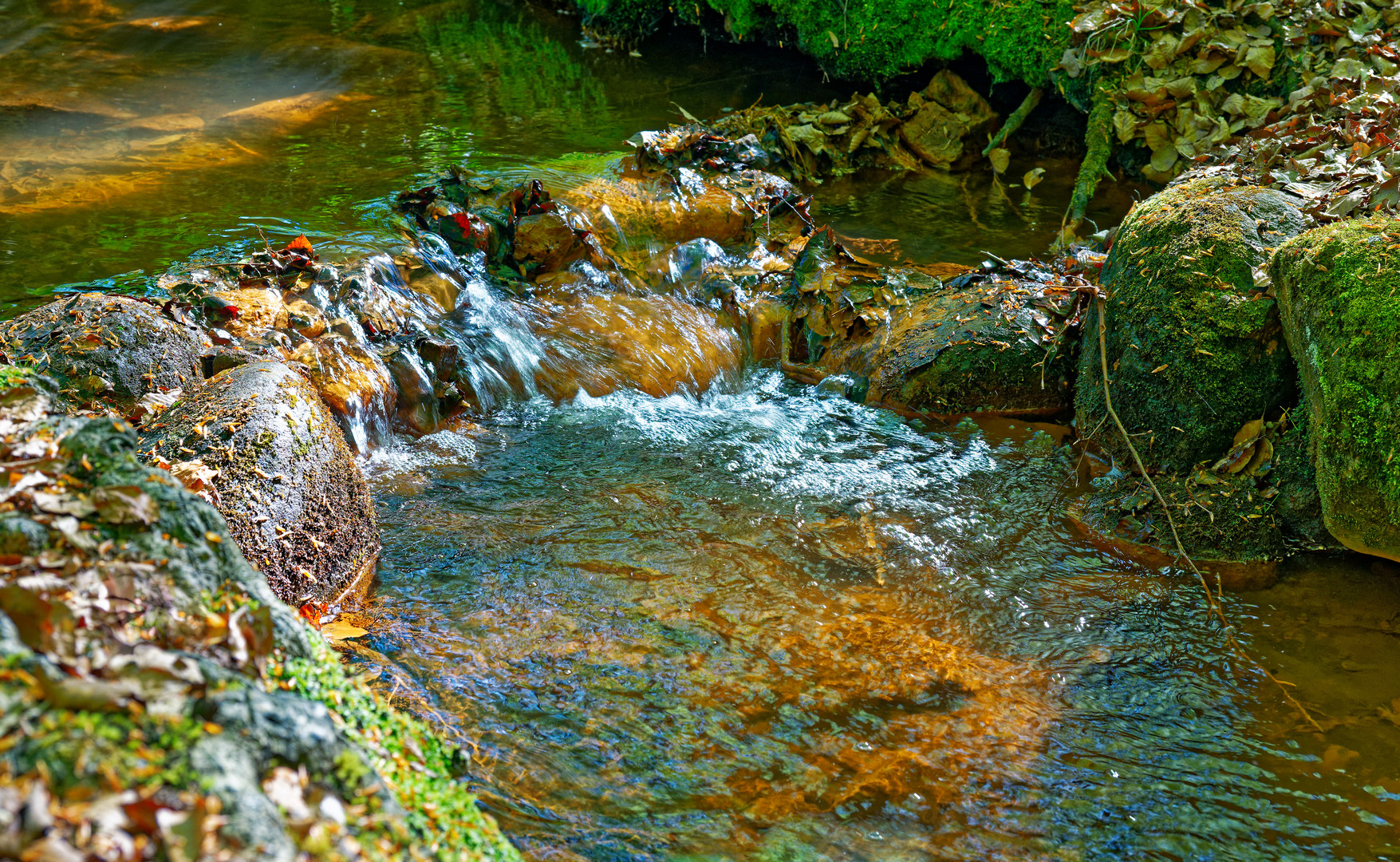 Lüneburger Waldbach