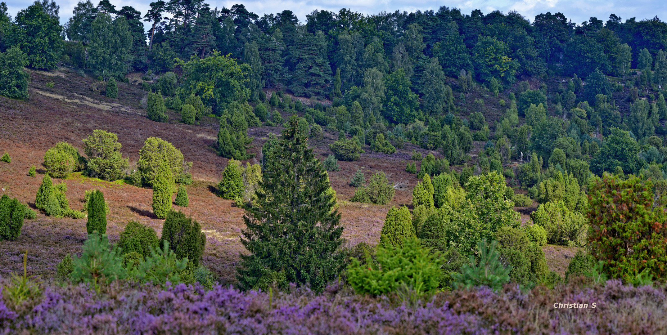 LüneburgerHeide