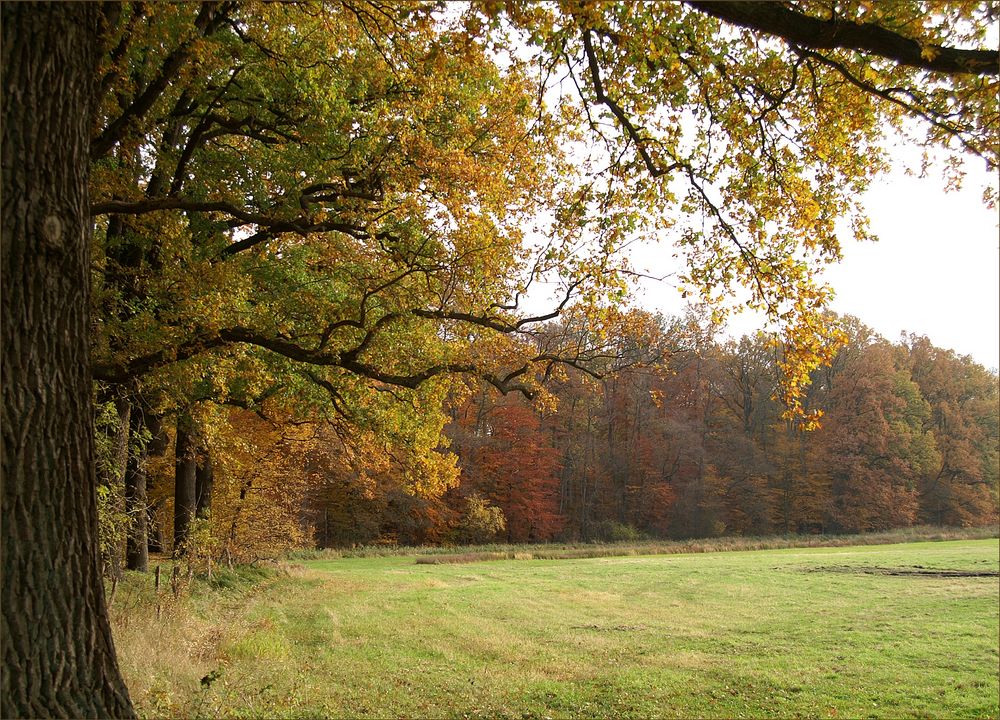 Lüneburgs schönste Ecken