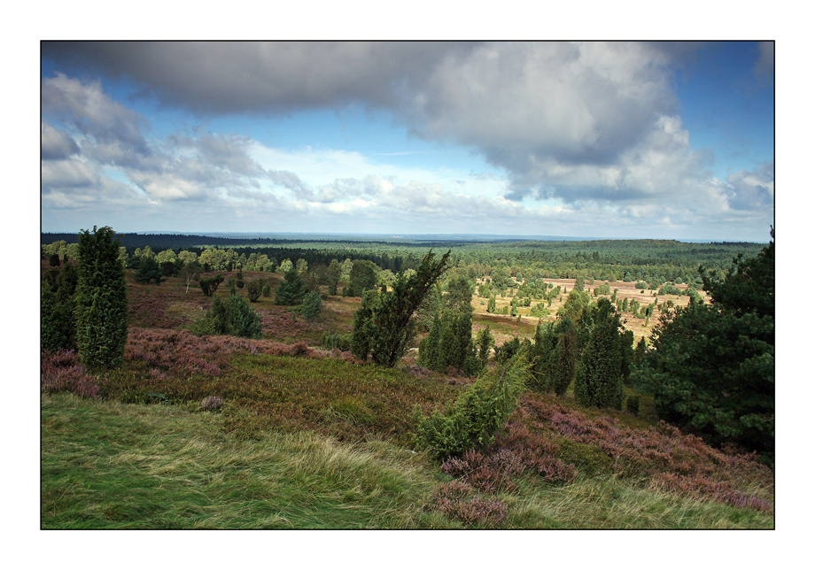 Lünerburger Heide 2