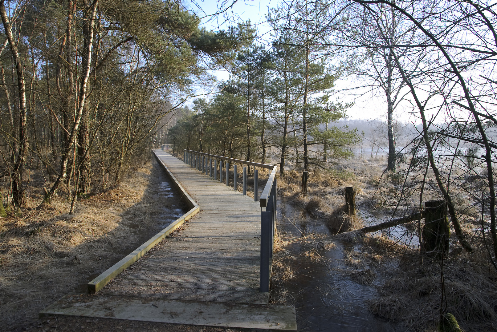 Lüntener Fischteich, Vreden