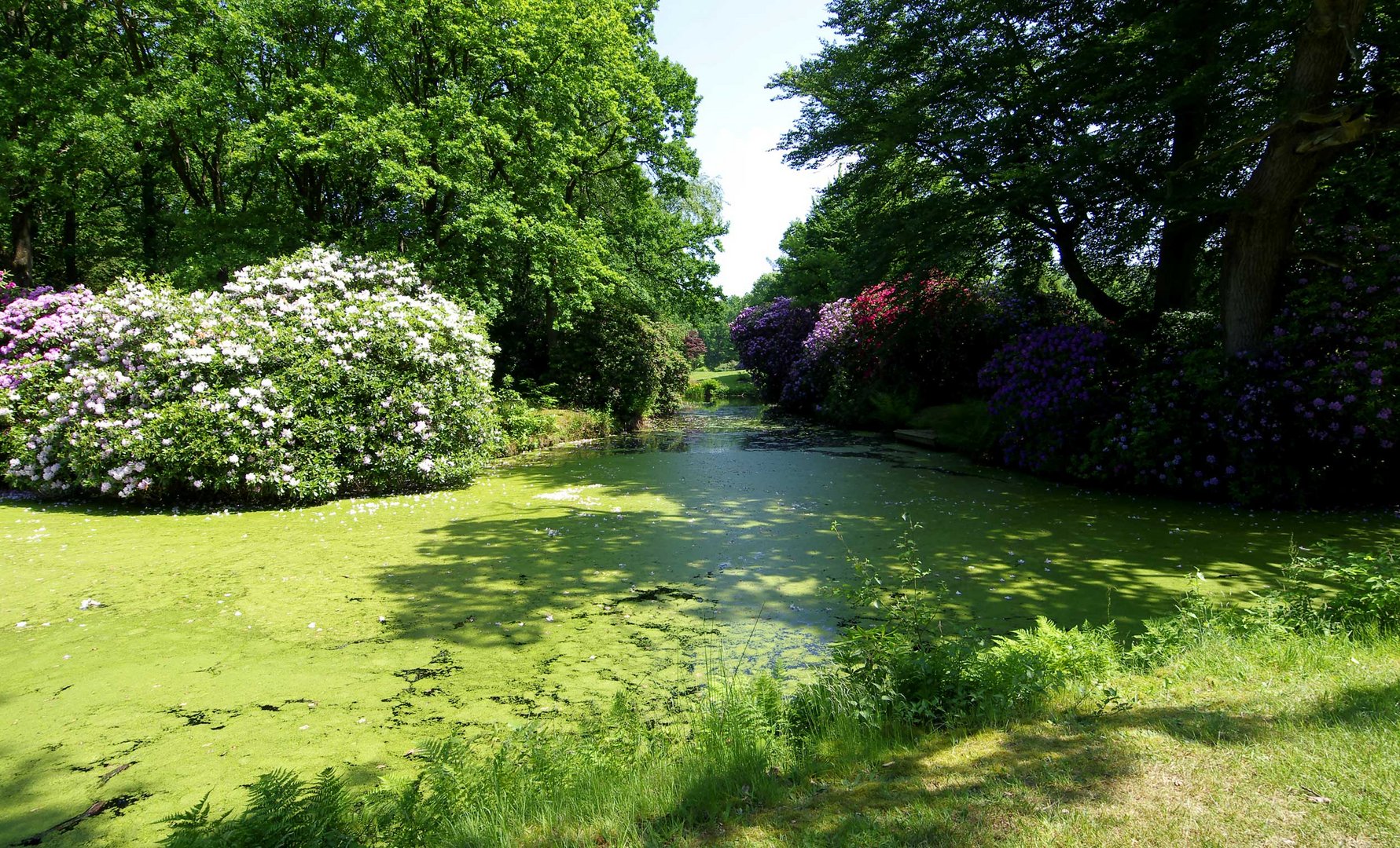 Lütetsburg - Ostfriesland