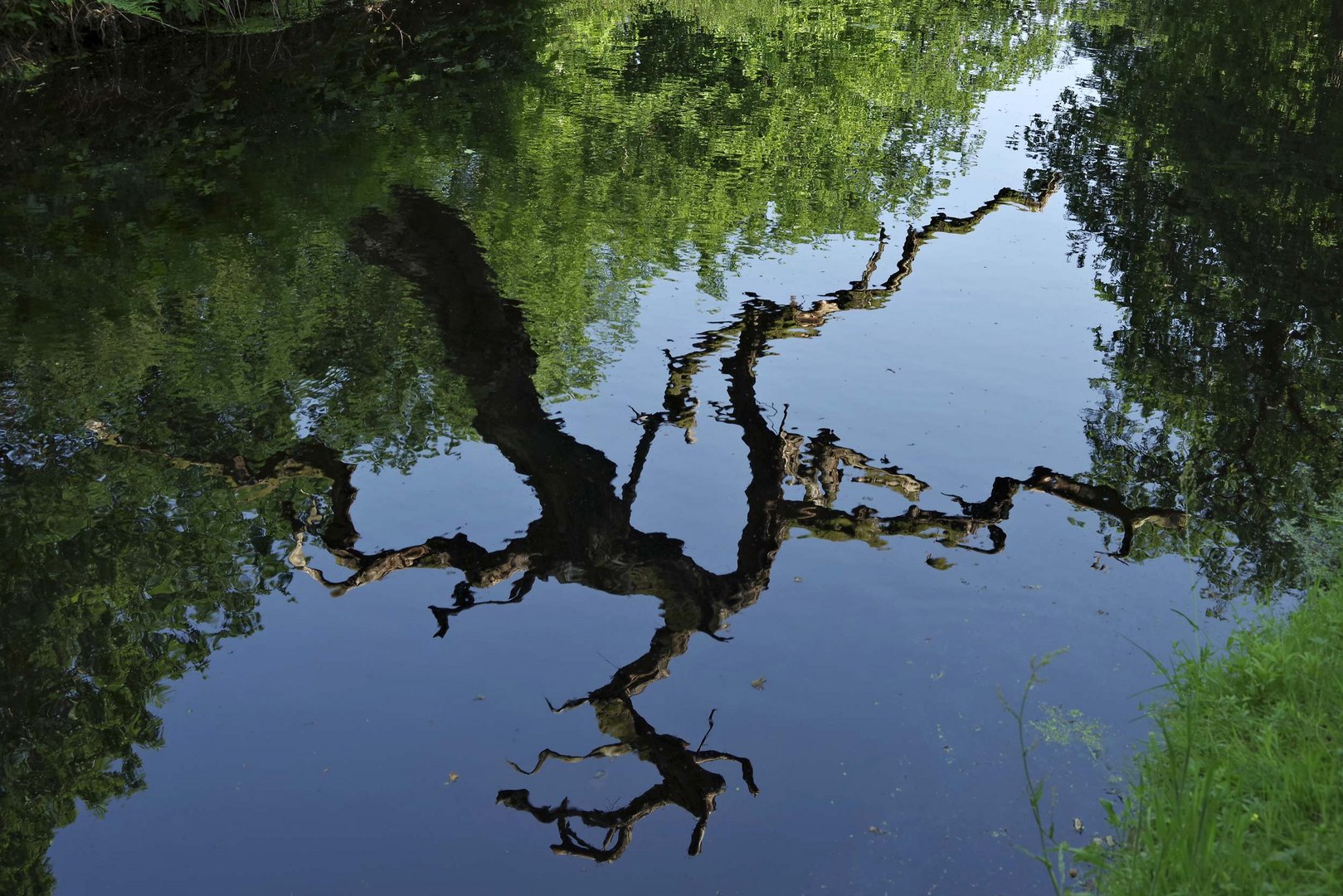 Lütetsburg - Ostfriesland