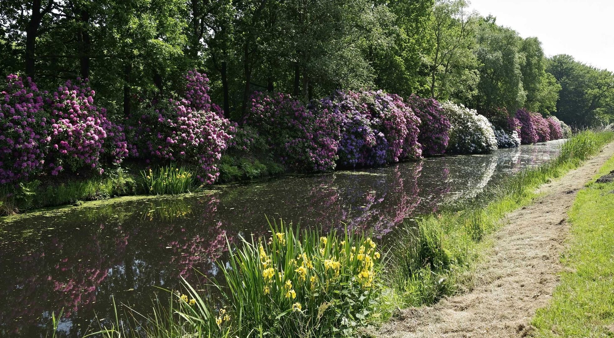 Lütetsburg - Ostfriesland