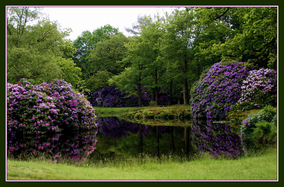 Lütetsburger Park in Hage Foto & Bild landschaft, garten